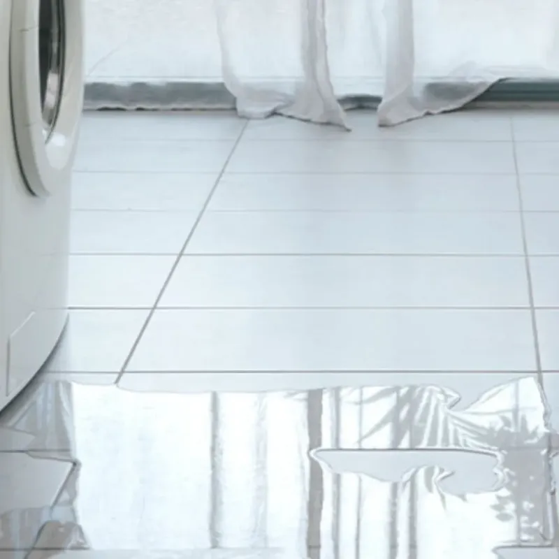 Appliance Leak Cleanup in Centreville, MD